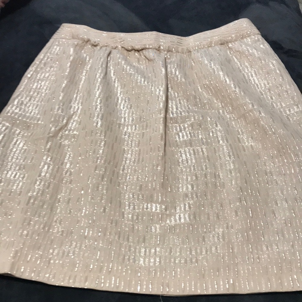 TALBOTS BLING Skirt 14